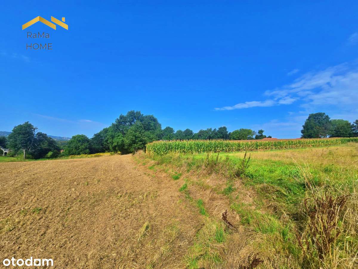 Atrakcyjna działka w Zborczycach-11