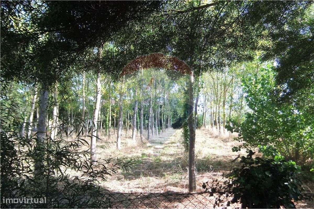 Terreno  para venda - Grande imagem: 4/15