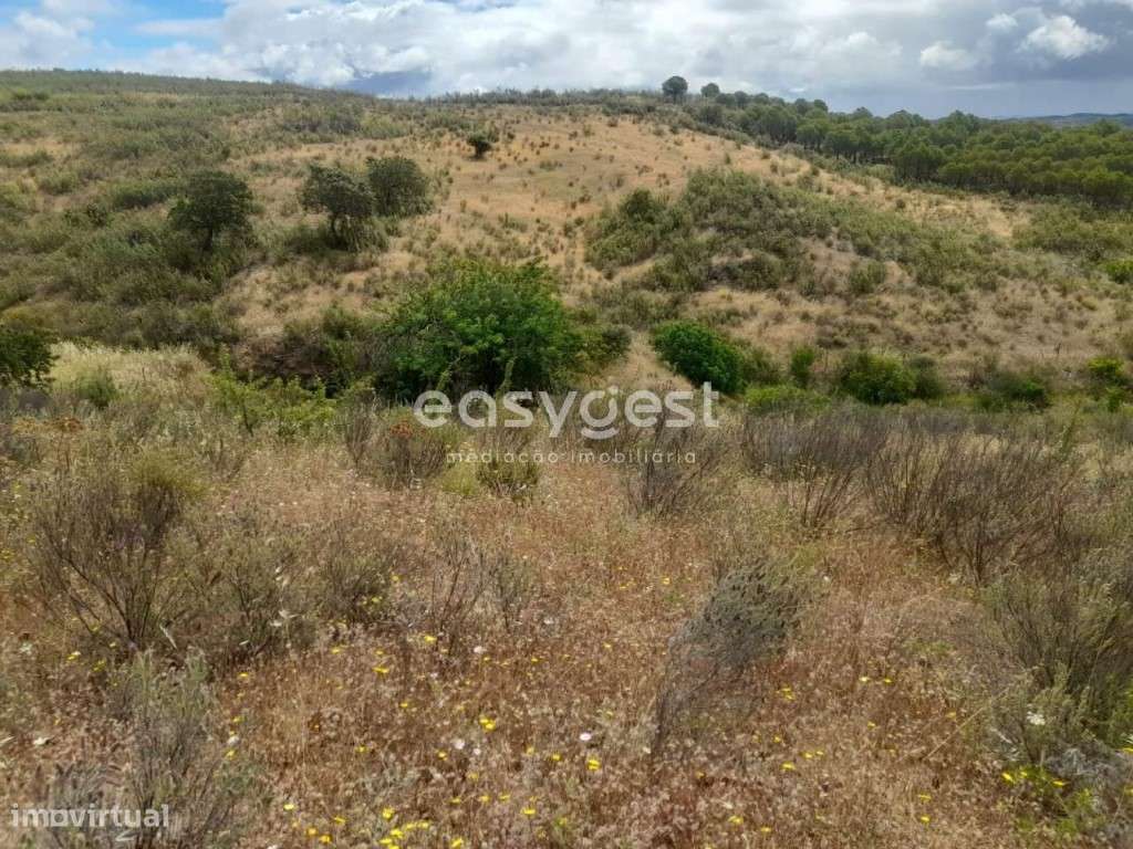 Monte para recuperar localizado na freguesia de Martim Longo - Grande imagem: 5/46