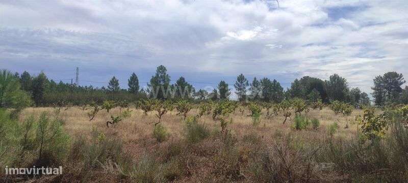 Terreno / Fundão, Monte Leal - Grande imagem: 2/6