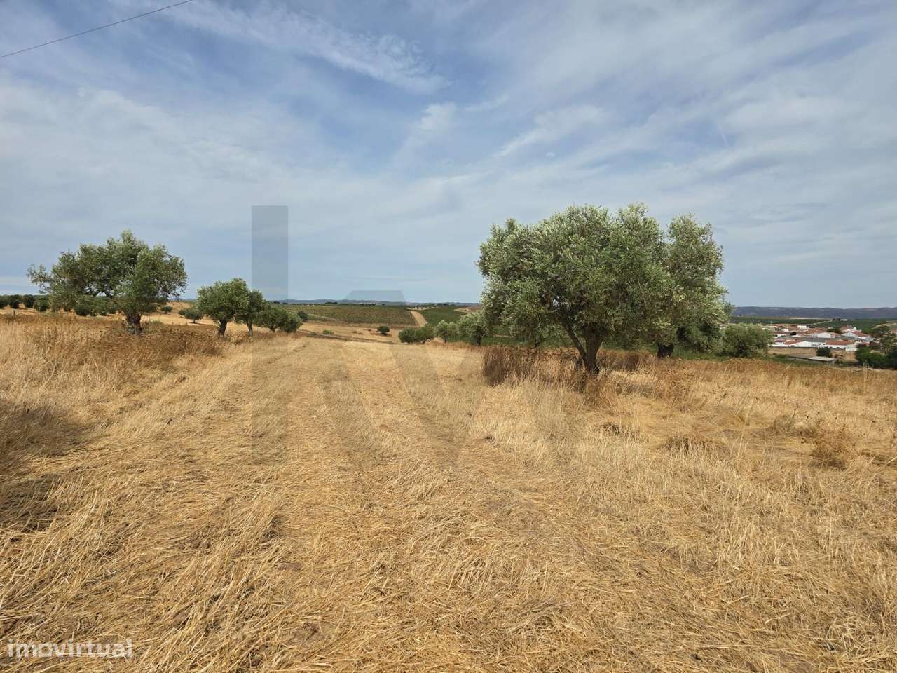 Terreno agrícola junto à aldeia de Pedrógão - Vidigueira - Grande imagem: 2/17