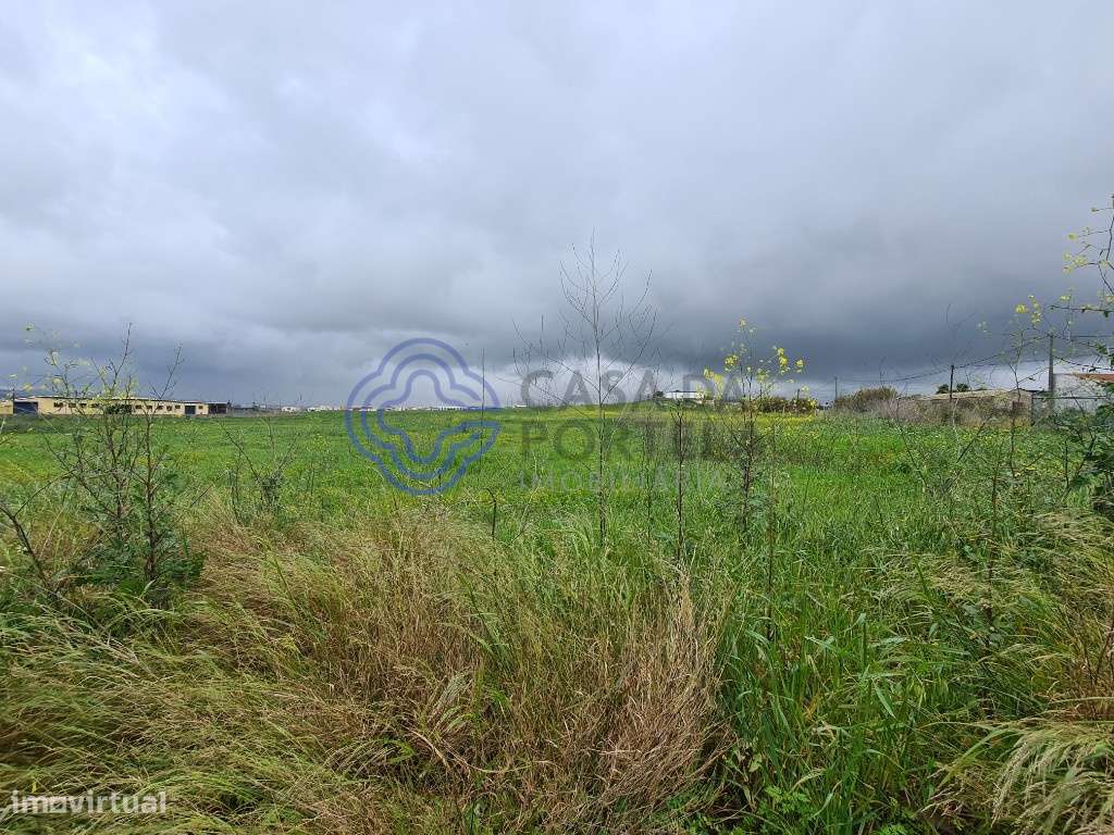 Terreno - 10.600m2 - São Domingos Rana - Cascais-11