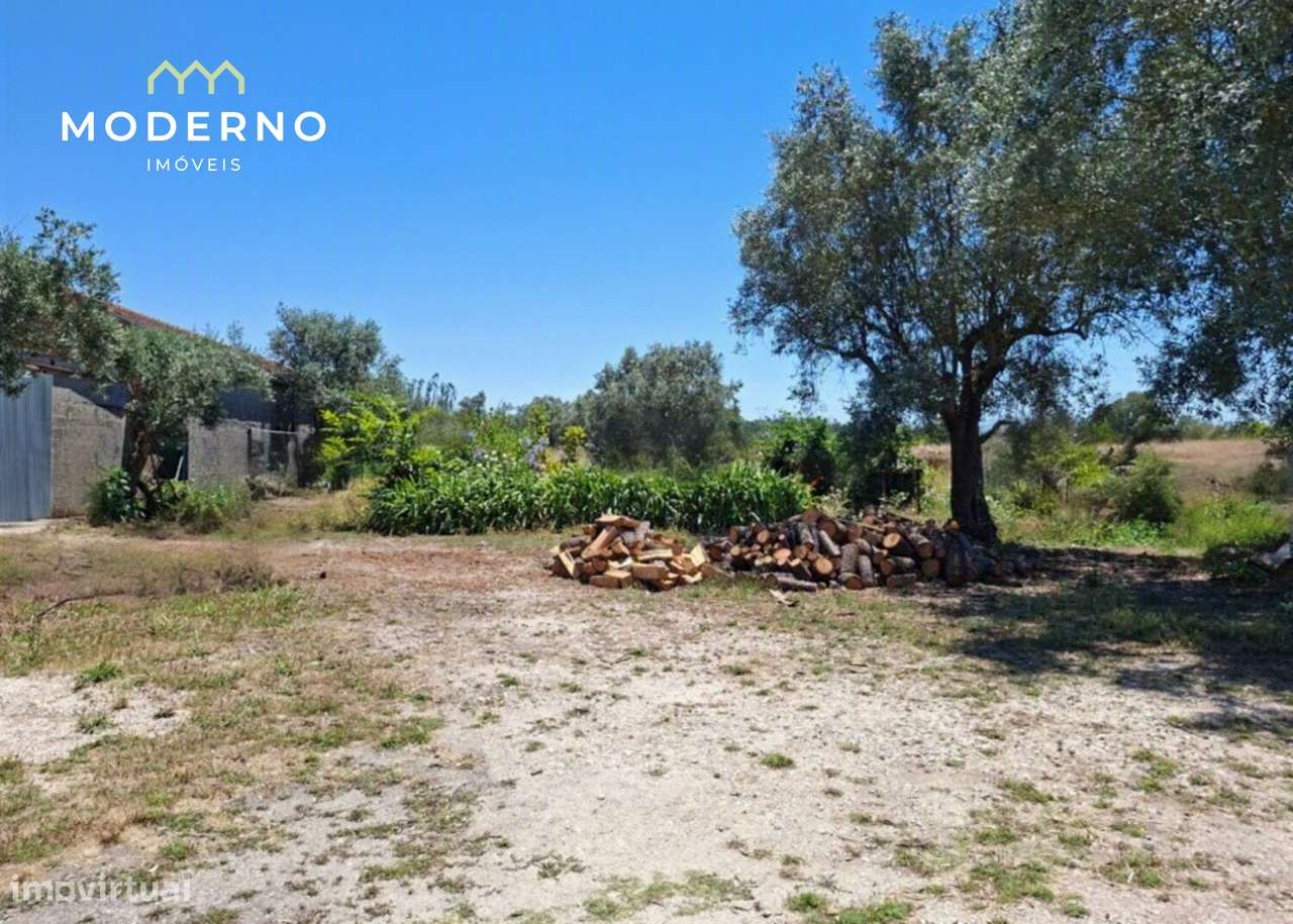 Terreno Construção – Moitas Brancas, Ilha, Pombal-3