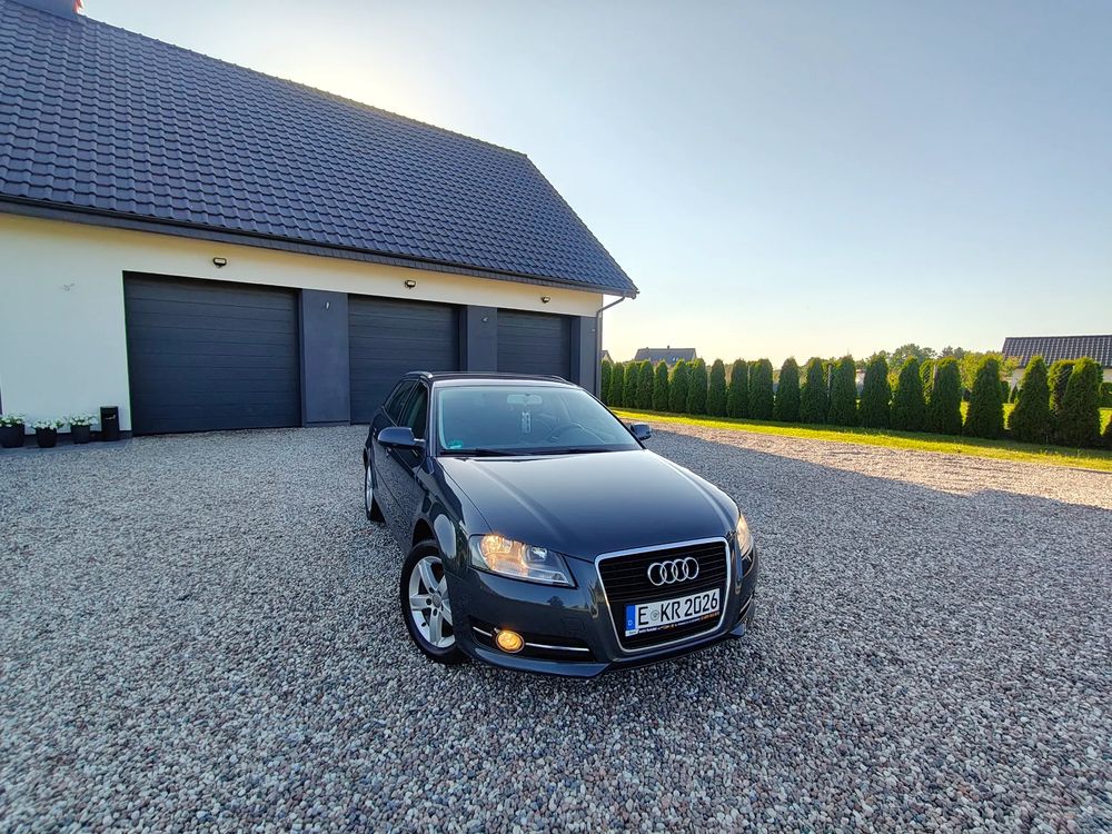 Audi A3 8P (2003-2012) 1.6 Ambiente 2010