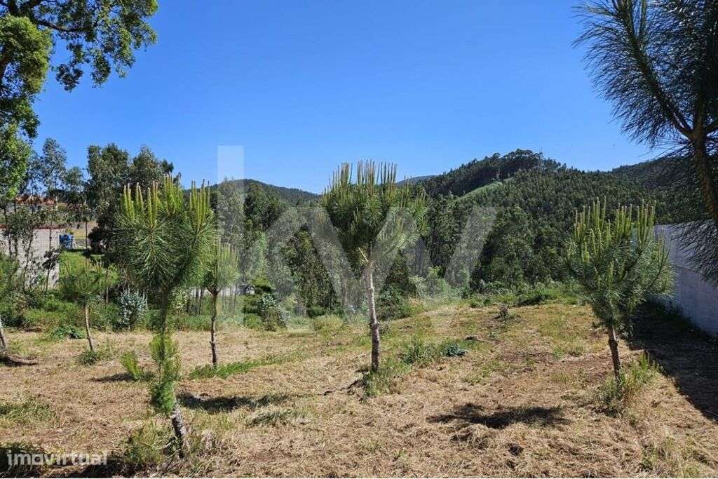 Terreno | Viabilidade de construção | 2.318 m2 | Boa exposição solar - Grande imagem: 5/13