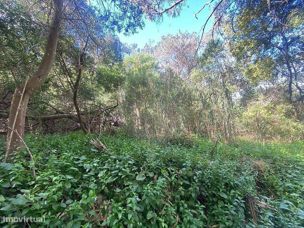 Terreno  para venda - Grande imagem: 5/17