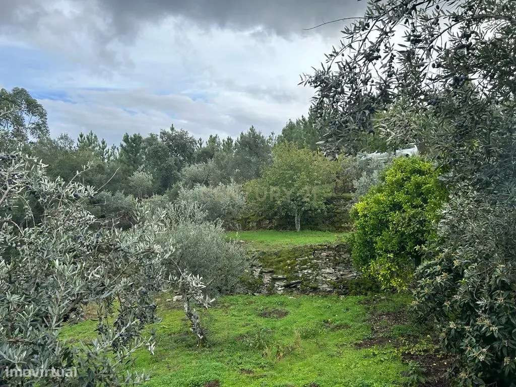 Terreno com 2020 m2, Sobrainho dos Gaios - Grande imagem: 3/18