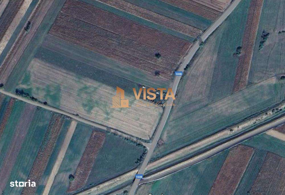 Teren extravilan 5755 mp in Dobarlau, la 25 km de Brasov - Imagine principală: 4/4