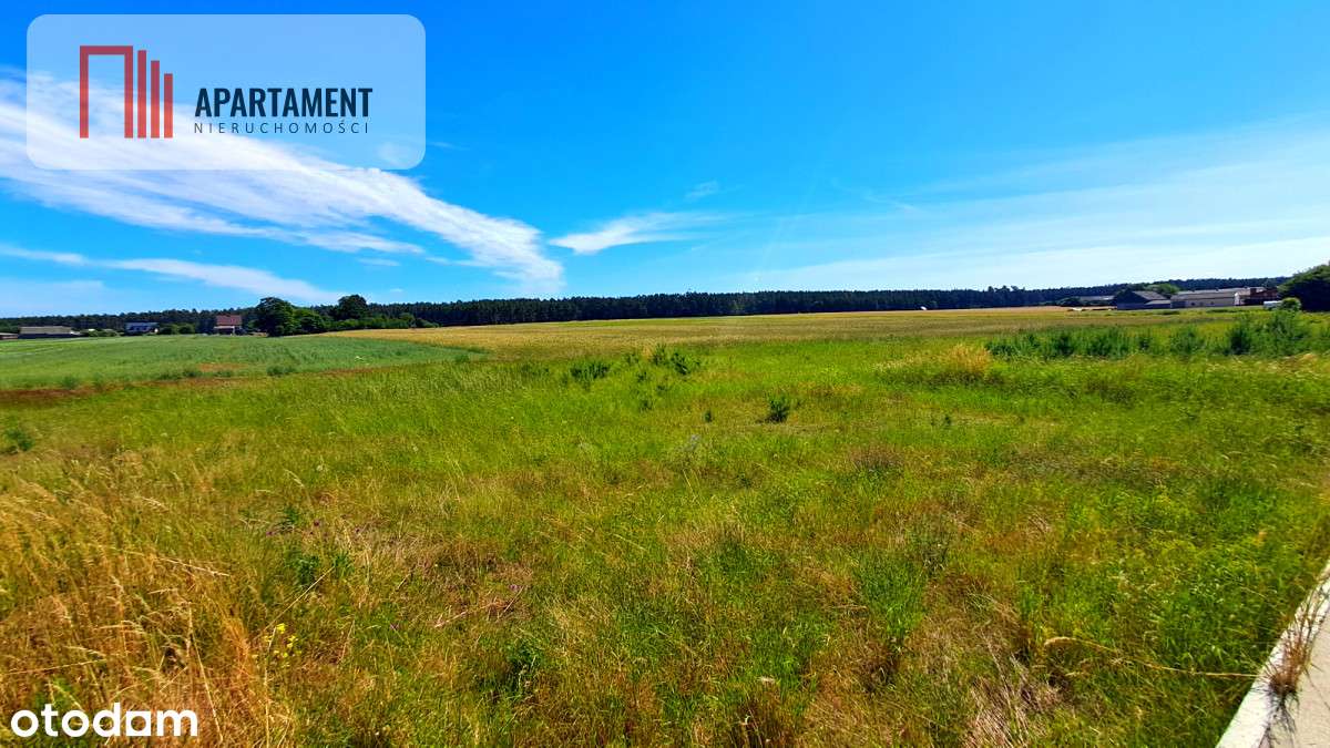 Nowa cena! Duża działka blisko jeziora!!! - Pełny obrazek: 4/11