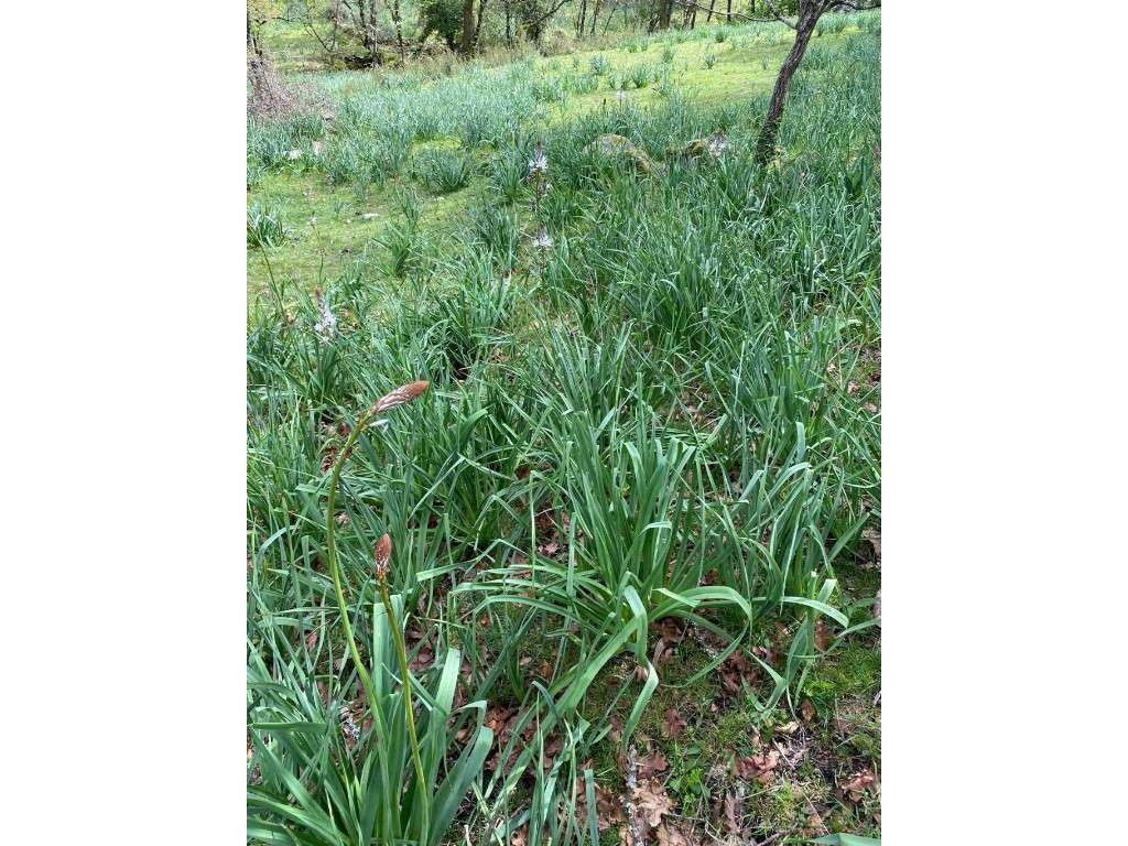 Terreno - Grande imagem: 4/5