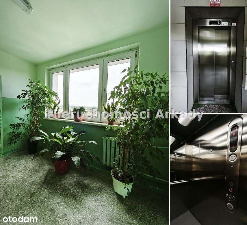 M4 z balkonem i z podjazdem dla wózków w centrum-7