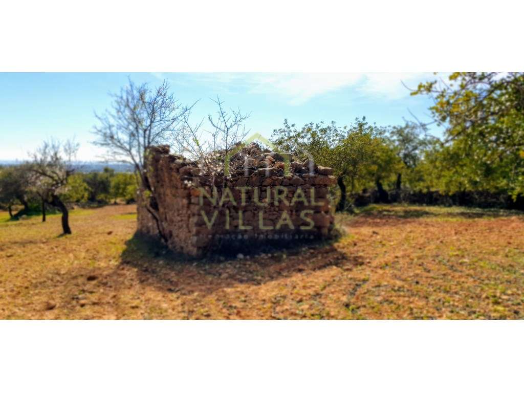Terreno Misto com Vista Mar Desafogada em Estoi - Grande imagem: 3/8