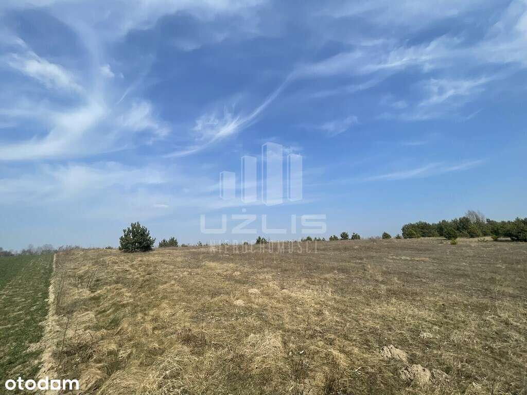 Działka w spokojnej okolicy Lipinki Królewskie - Pełny obrazek: 5/11