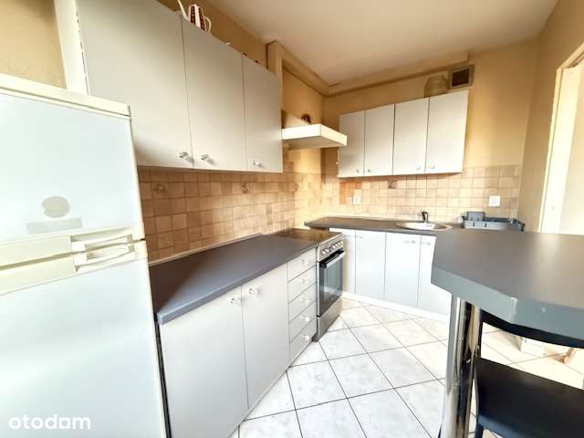 Centrum, Wilda 2- pokoje-7