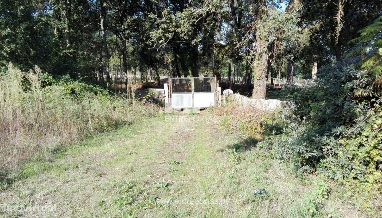 Venda de Terreno para construção, Santoinho, Viana do Castelo - Grande imagem: 4/27