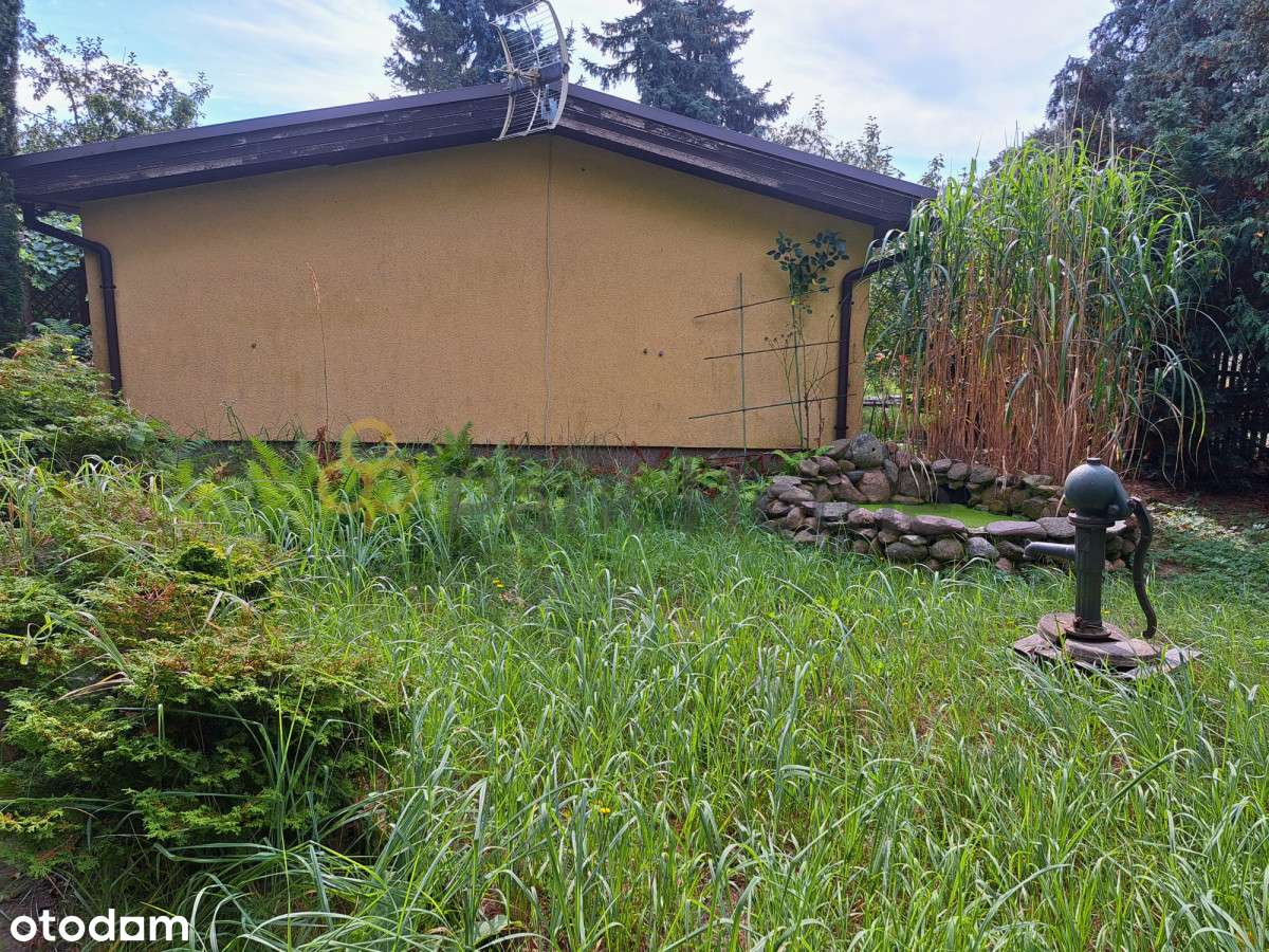 Twój azyl wśród zieleni - Pełny obrazek: 4/12