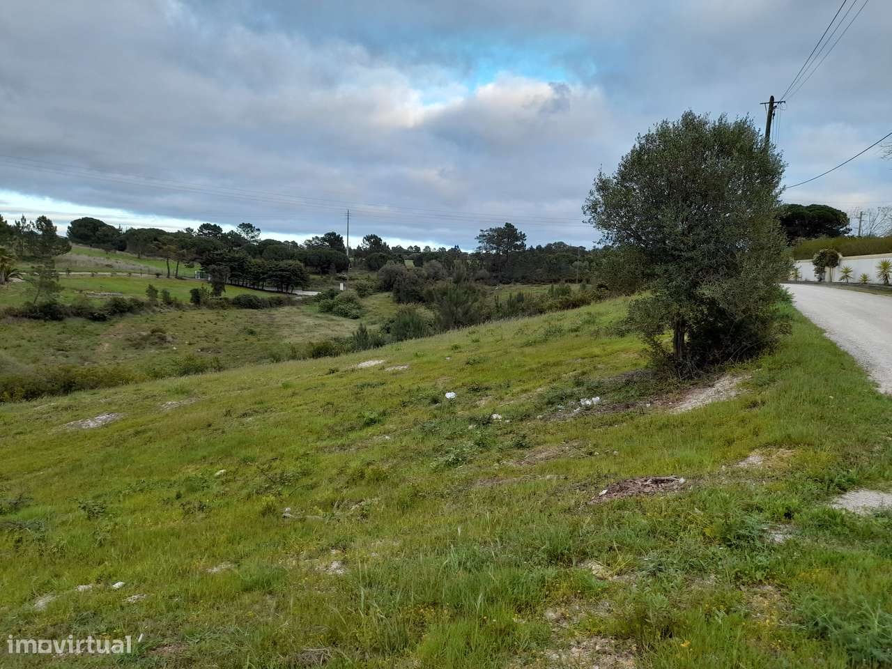 Terreno - Massapés - Grande imagem: 3/4