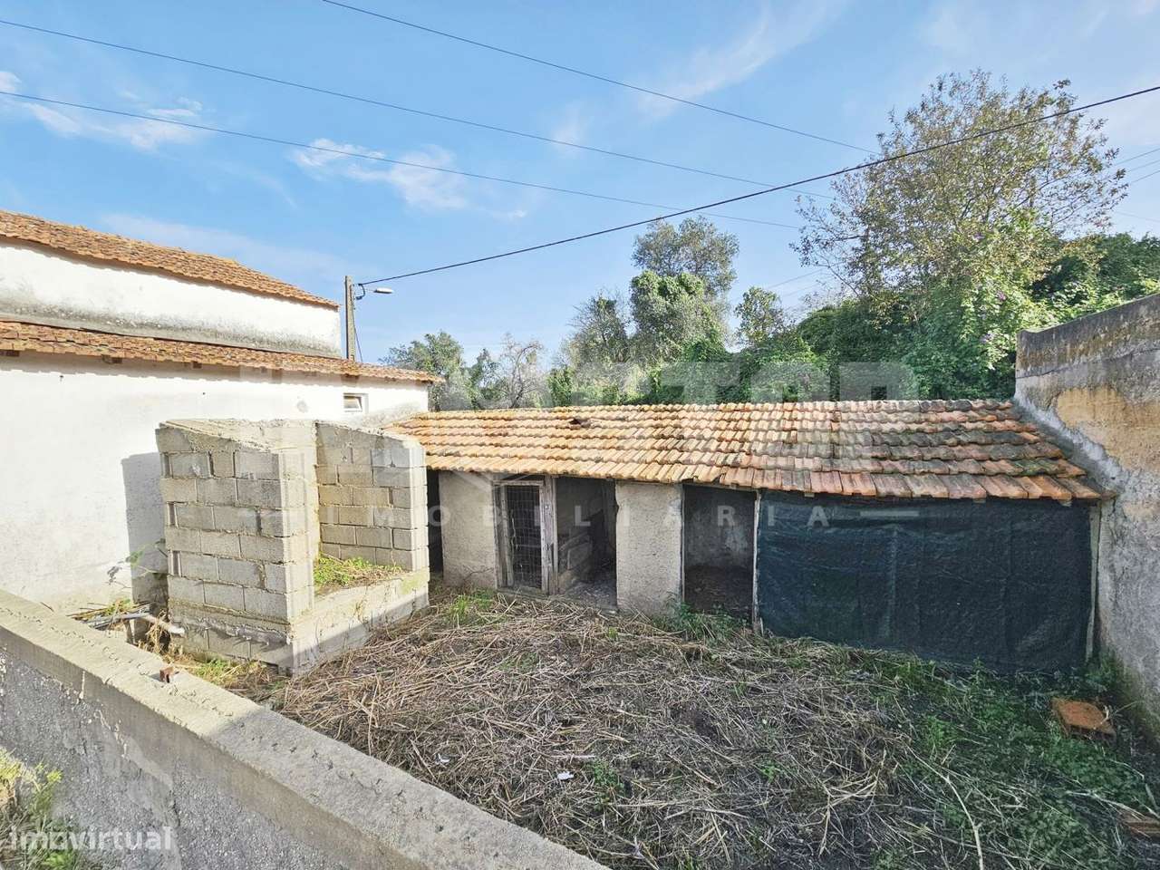 Quinta das Cegonhas Águeda Norte - Ótima Exposição Solar! - Grande imagem: 4/33