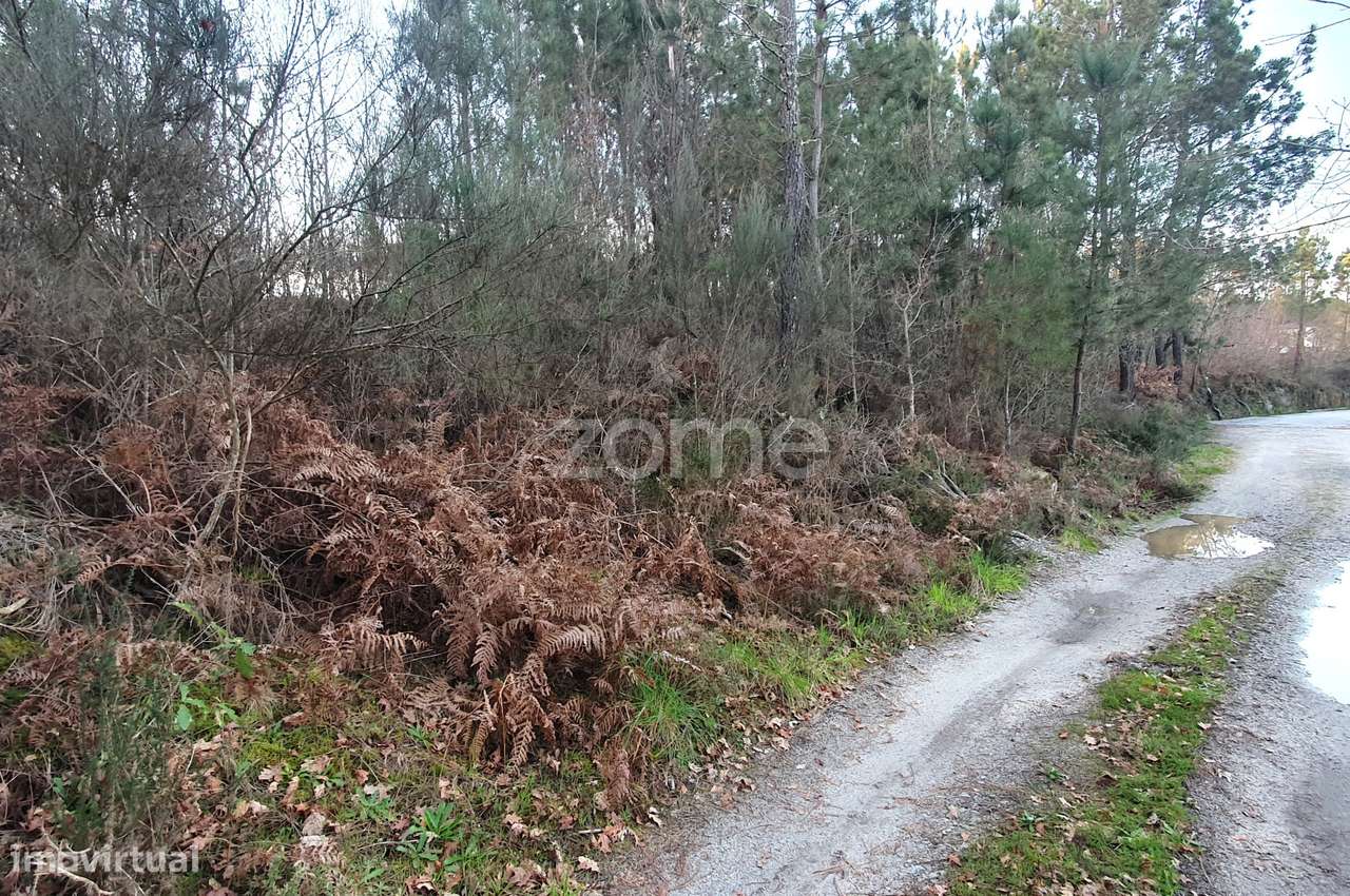 Terreno em Calde, Almargem (Viseu) – 1300 m2 - Grande imagem: 1/15