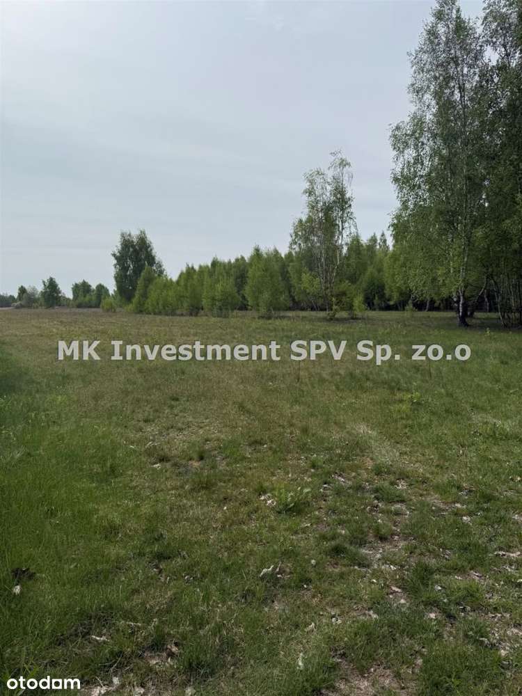 1,2 h Siedlisko Kampinos Małocice/Czosnów - Pełny obrazek: 2/6