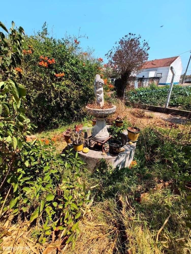 Quinta C/Moradia T2 - Foros de Vale de Figueira-8