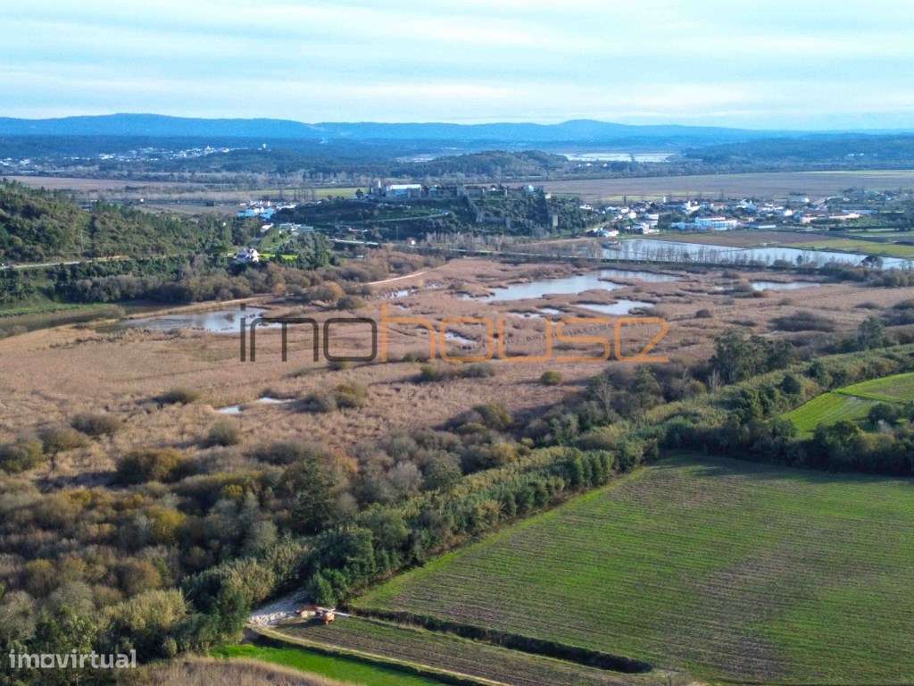 Quinta de 3,24ha - A 5min. Montemor-o-Velho-10