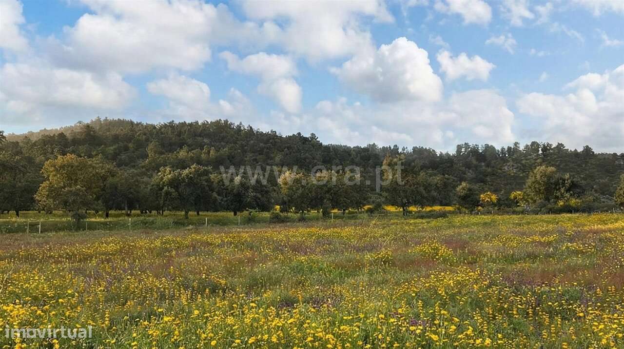 Quinta T1 / Fundão, Póvoa da Palhaça - Grande imagem: 5/20
