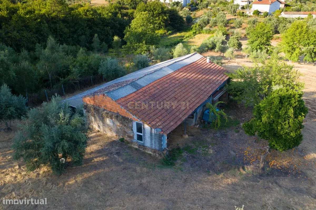 Quinta da Mata, quinta com poço em local de grande tranquilidade -Arri - Grande imagem: 1/15