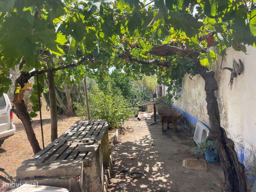 HERDADE COM 100 HECTARES E BASTANTE ARBORIZAÇÃO-37