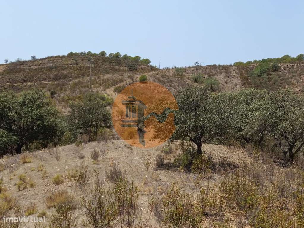 TERRENO RUSTICO COM 6.720 M2 - PRÓXIMO DA BARRAGEM DO BELICHE EM AL... - Grande imagem: 5/33