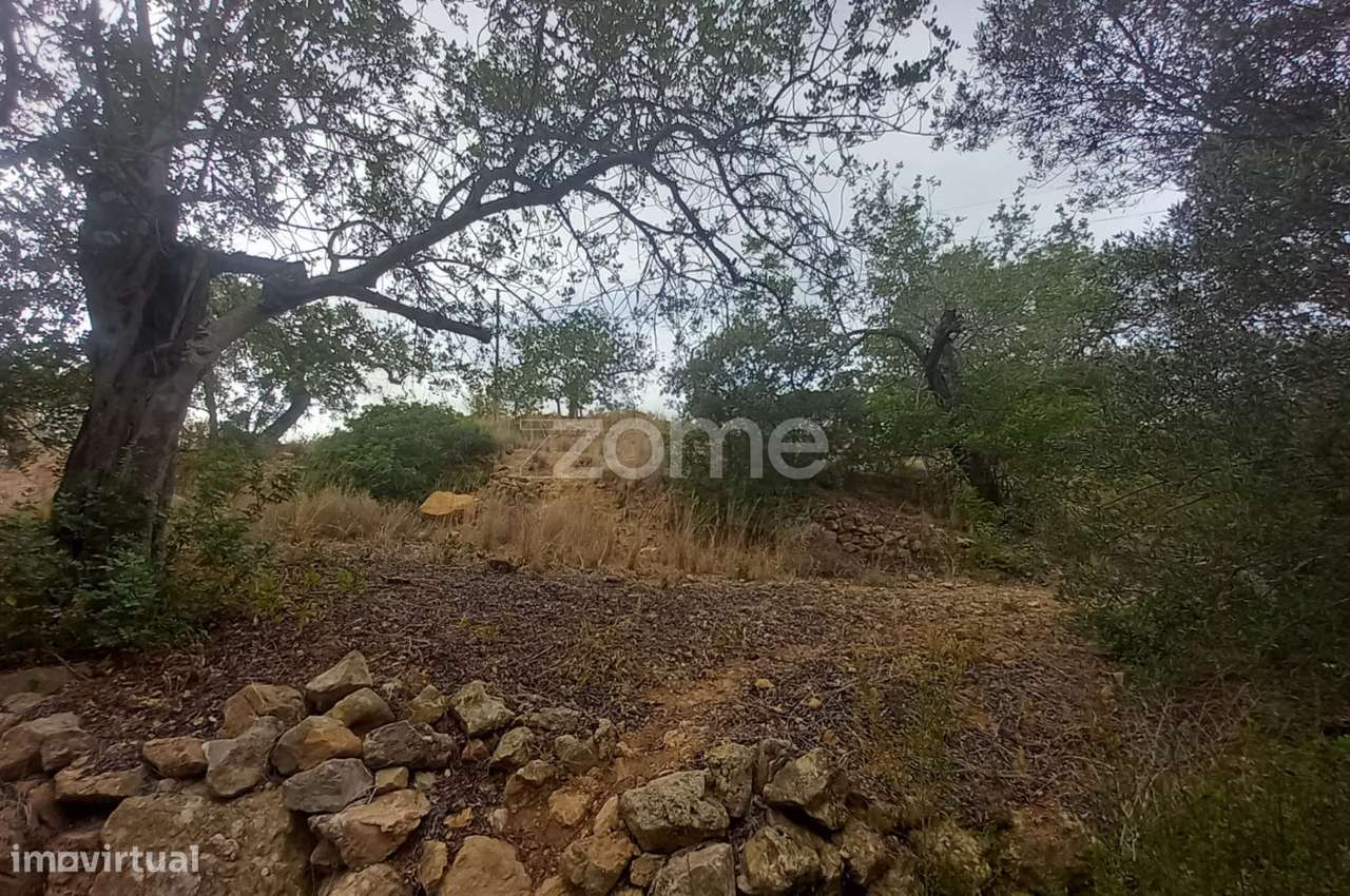 Casinhas/ruínas T3 e T2 para recuperar, terreno, Estói, Faro, Algar... - Grande imagem: 3/53