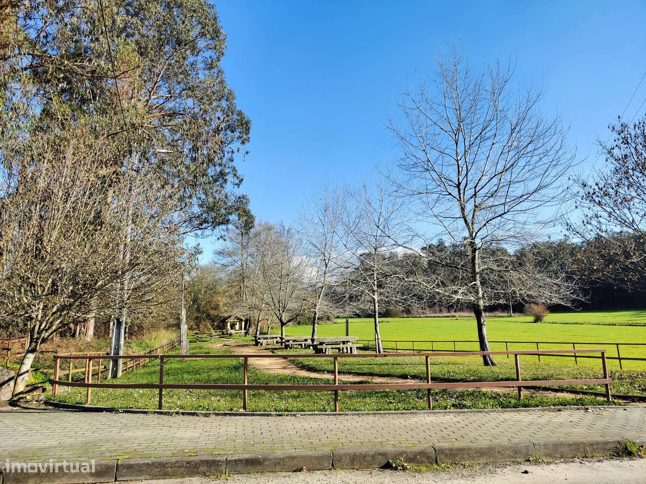 Lote de terreno em São Martinho da Gândara - Grande imagem: 3/3