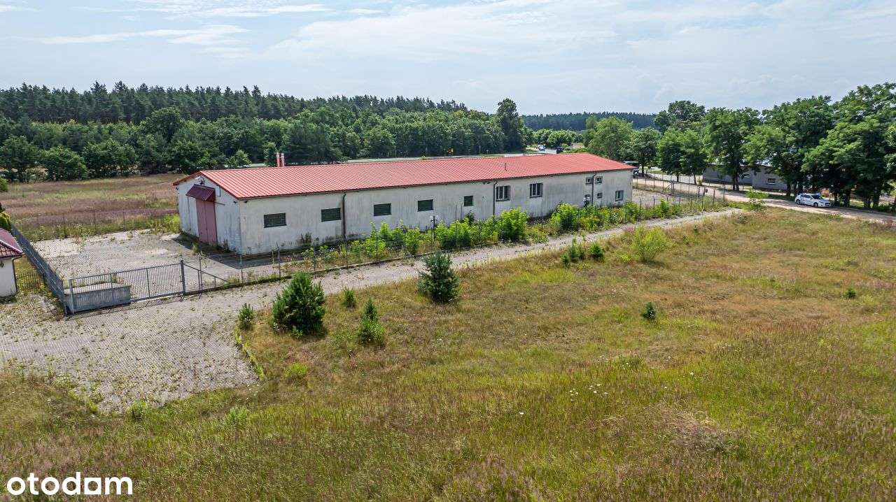 Bolesłwiec/Brzeźnik Hala - Pełny obrazek: 4/12