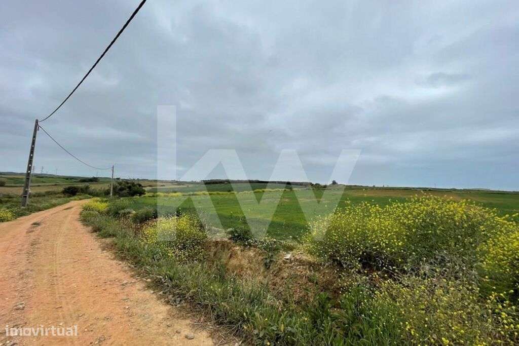 Terreno Agrícola em Peniche com mais de 5ha - Atouguia da Baleia - Grande imagem: 3/14