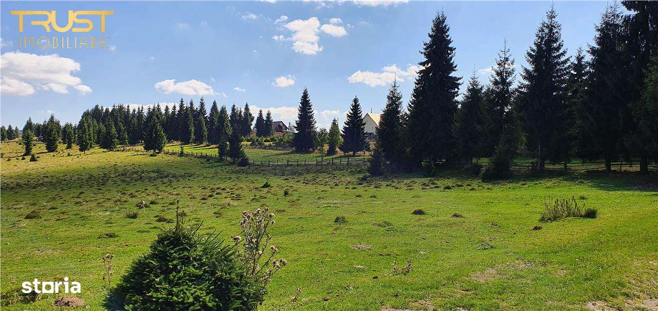 Oportunitare | Teren 1350 mp cu PUZ | Belis-3