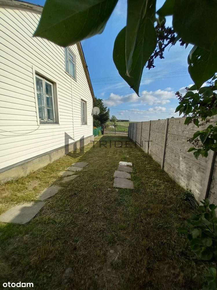 109/11303/OGS - Pełny obrazek: 5/10