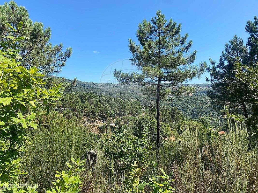 Terreno  para venda - Grande imagem: 3/19