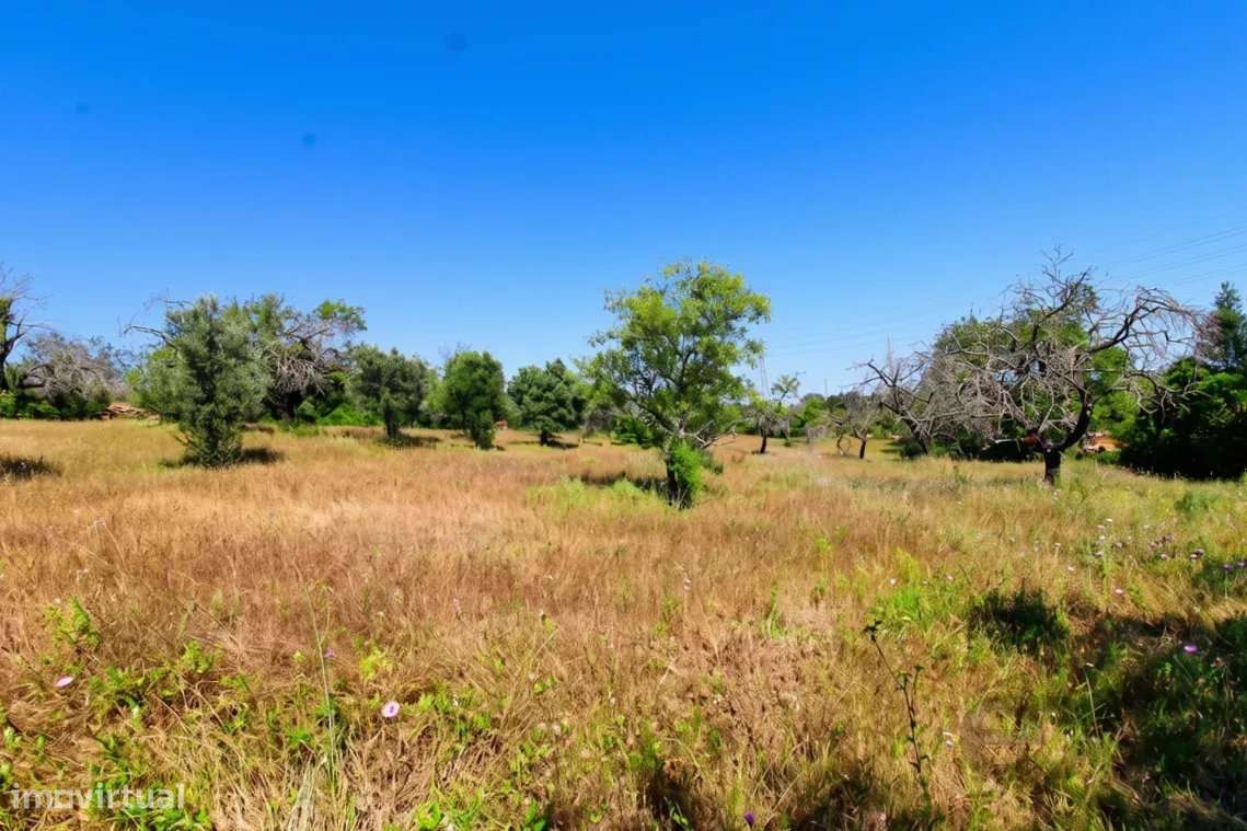 Terreno rústico de 5080 m2 à venda em Estoi, Faro-7