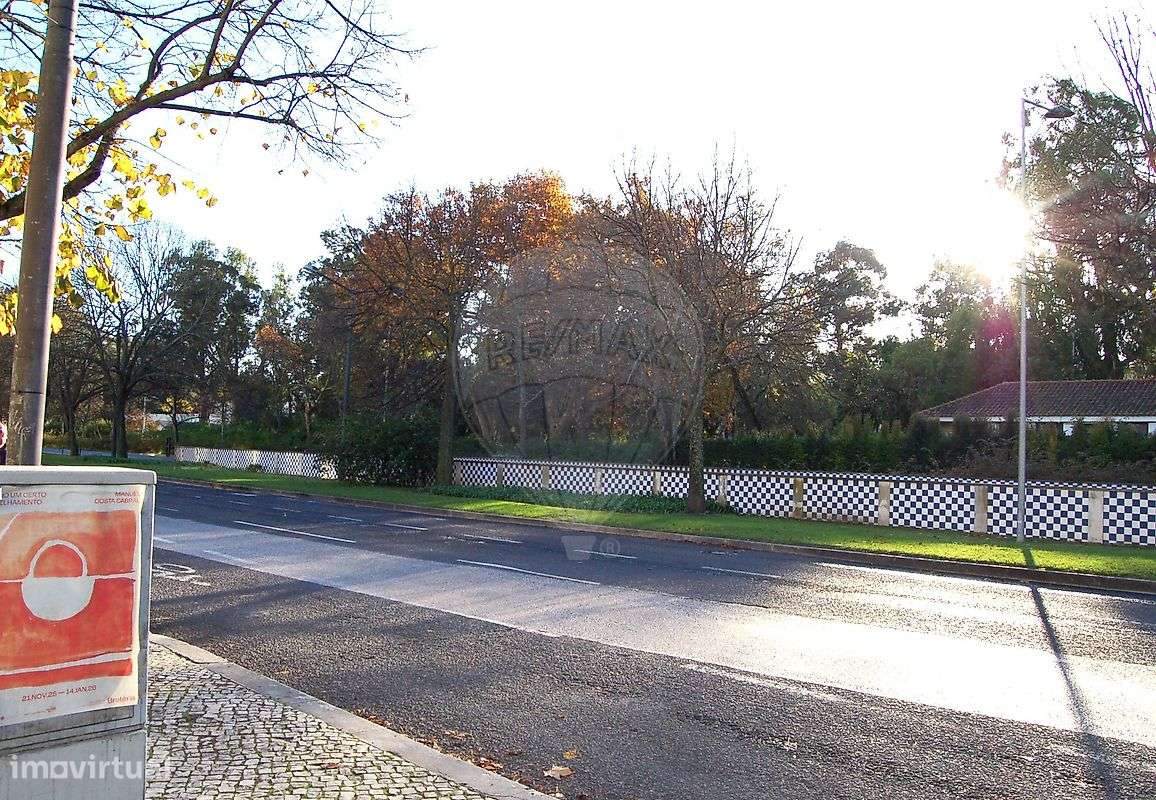 Loja  para arrendamento - Grande imagem: 2/17