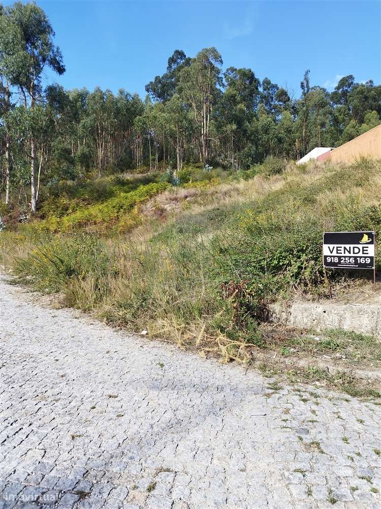 🏗️ Oportunidade para Construtores - Grande imagem: 3/10