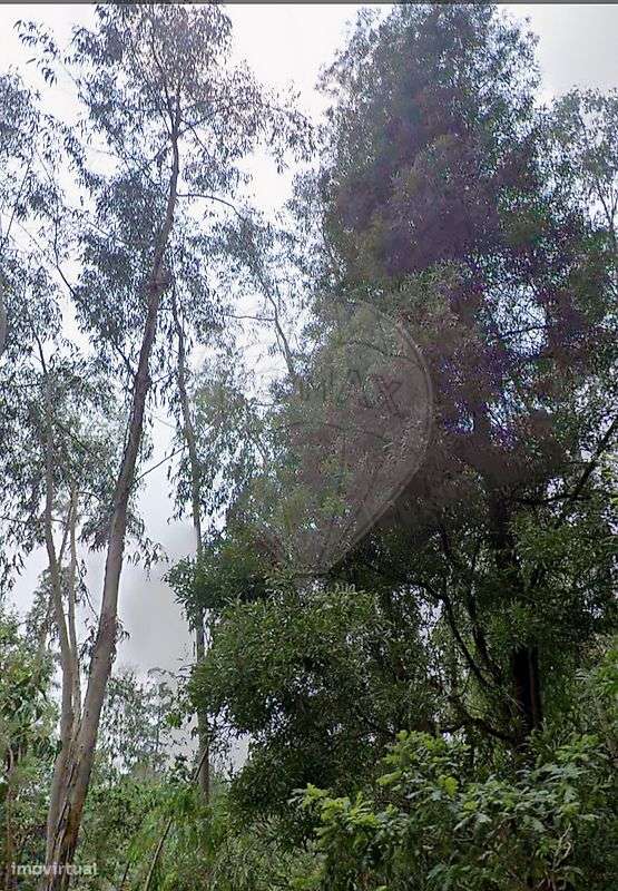 Terreno  para venda - Grande imagem: 3/3