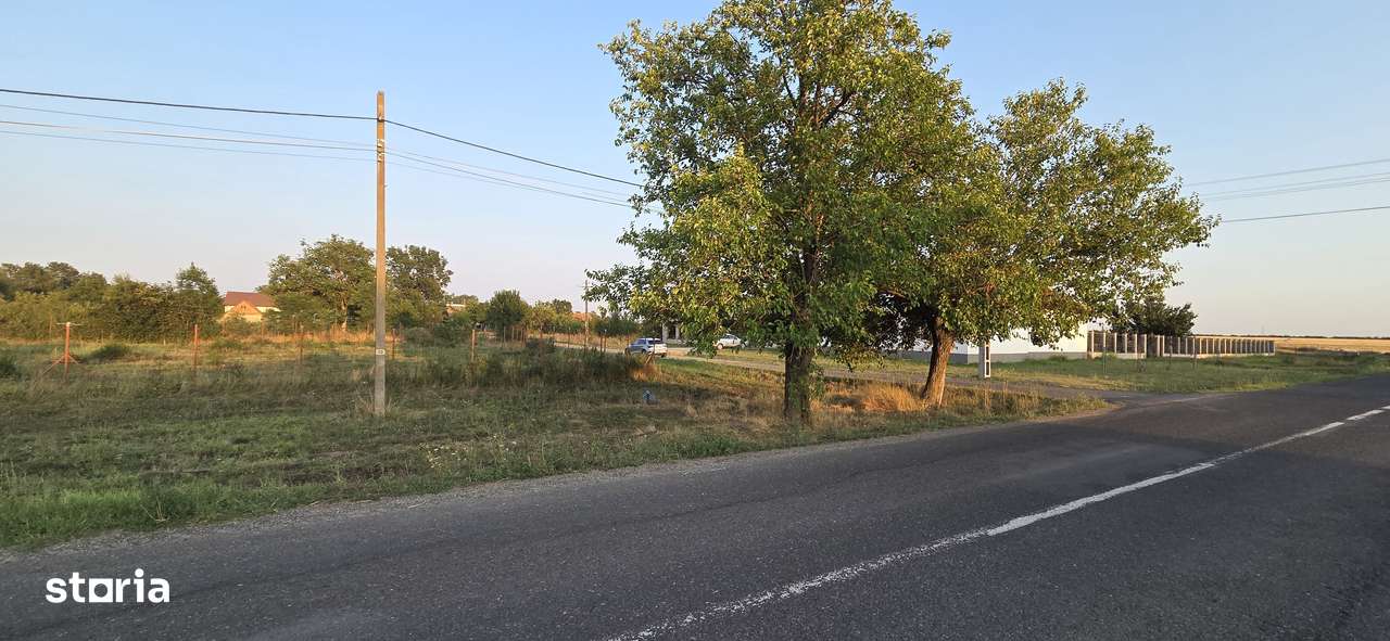 Teren intravilan în localitatea Berini - Imagine principală: 5/11