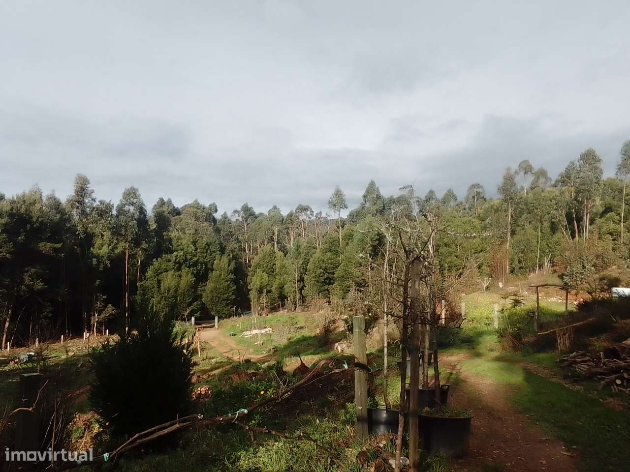 Bonito terreno em Caminha - Grande imagem: 5/8