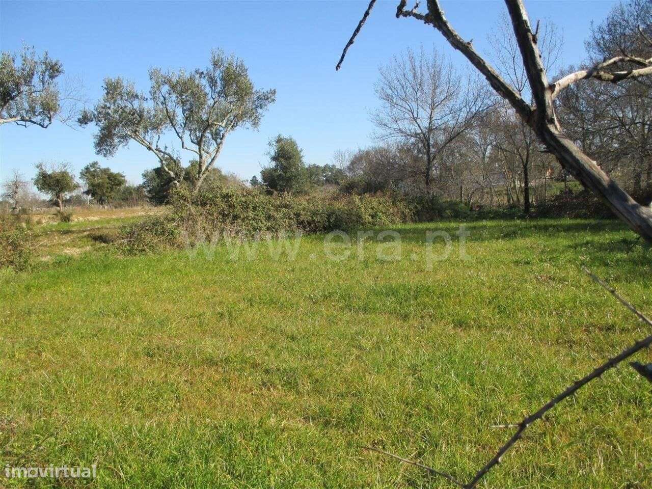 Terreno / Fundão, Soalheira - Grande imagem: 5/5