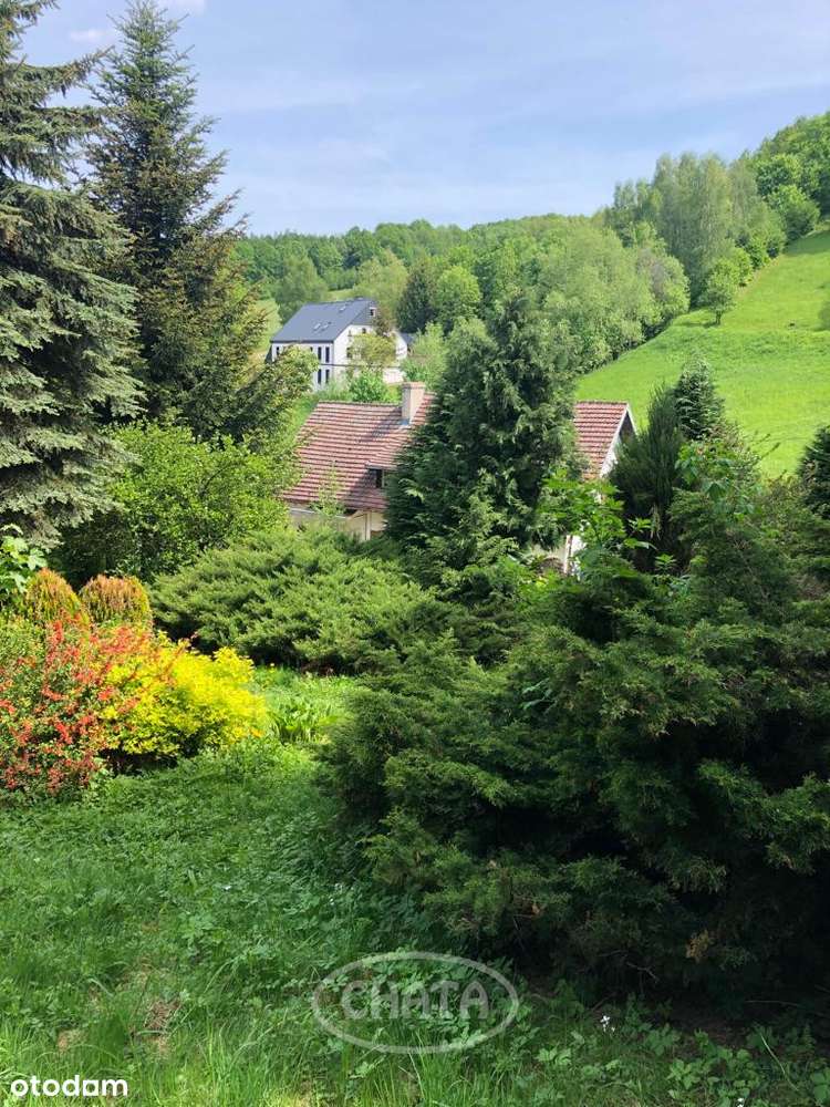 Działka/Zagórze Śląskie/okolice - Pełny obrazek: 4/9