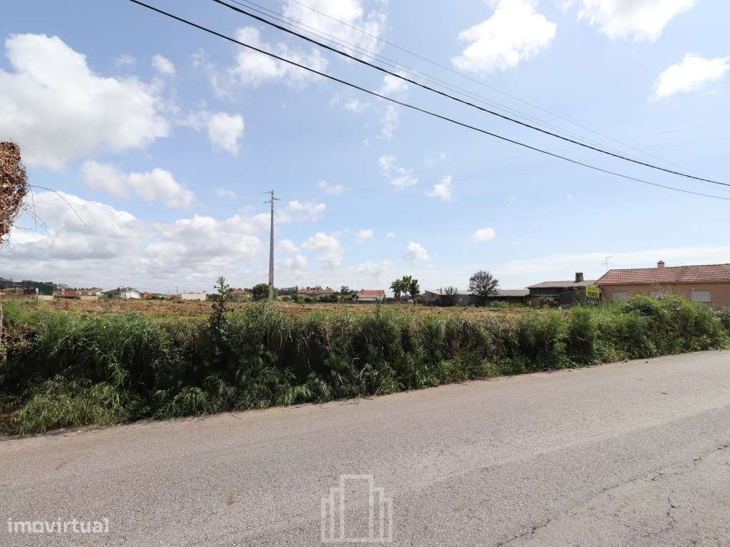 Terreno Rústico - Arada - Grande imagem: 5/6