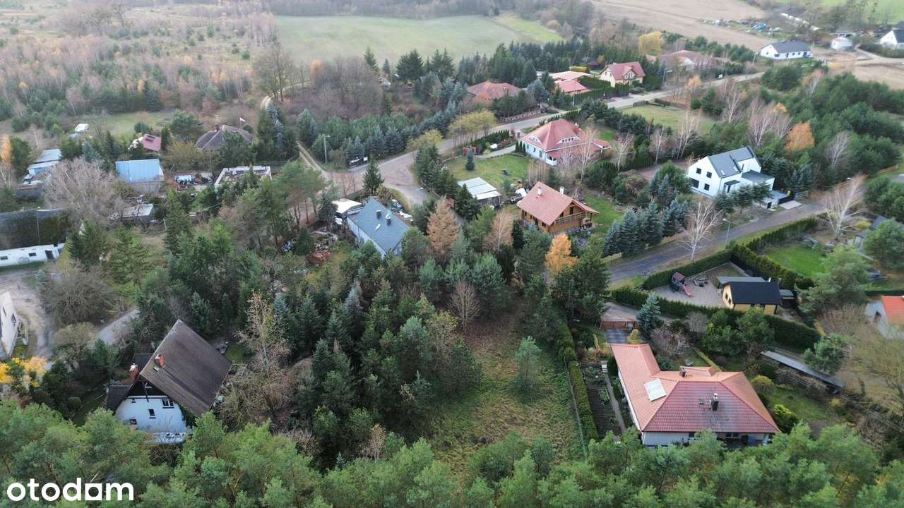 Działka budowlana 1497 m²- Głębocko k. Murowanej Gośliny, las/ jeziora - Pełny obrazek: 5/10