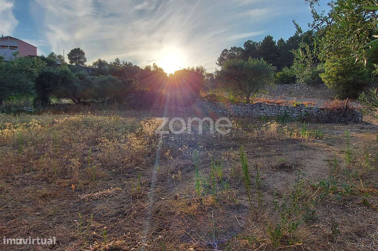 Quinta na Portelinha - Moimenta Da Beira - Grande imagem: 4/17
