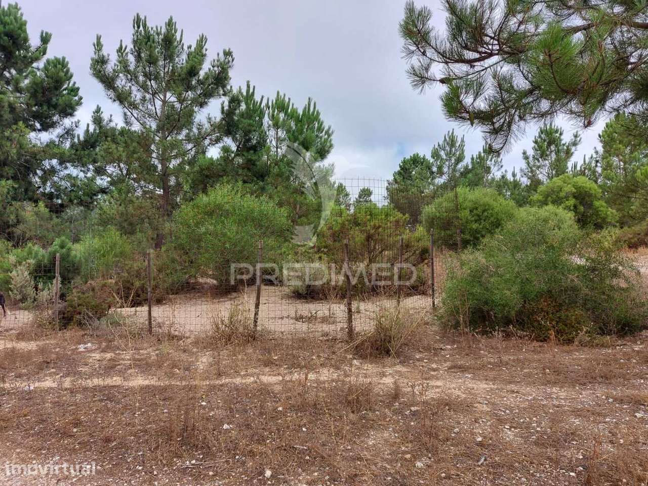 Oportunidade de Investimento - Loteamento em fase de Aprovação - Grande imagem: 2/5