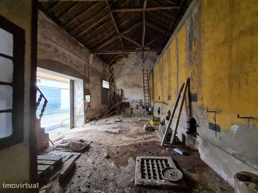 Antiga Adega por recuperar - Grande imagem: 4/10